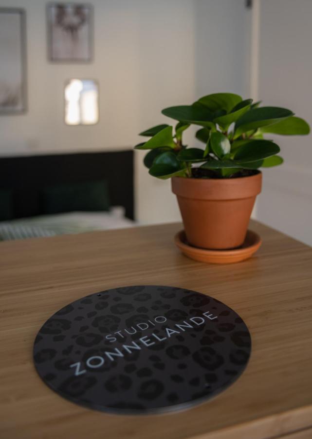 Zonnelande - Comfort Studio Zoutelande Exterior foto